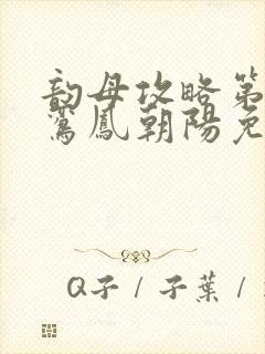 韵母攻略第二部鸾凤朝阳免费阅读