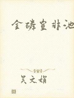 金磷岂非池中物封面