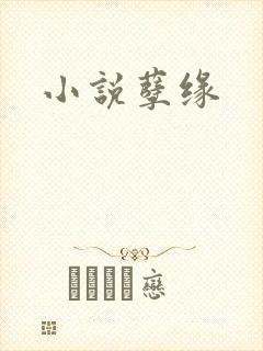 小说孽缘
