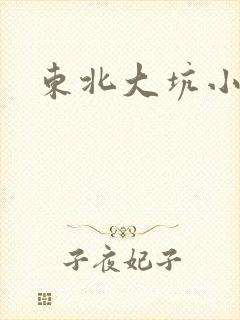 东北大坑小说
