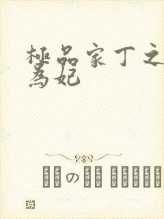 极品家丁之册母为妃封面