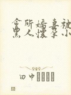 会所娇妻被多个黑人怀孕小说封面