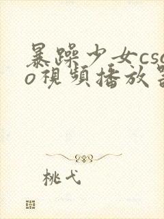 暴躁少女csgo视频播放器推荐