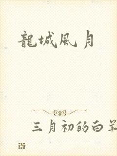 龙城风月封面