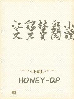 江铭林熙小说全文免费阅读