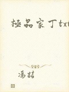 极品家丁txt