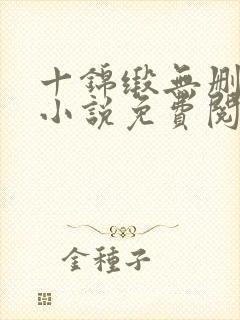 十锦缎无删原著小说免费阅读