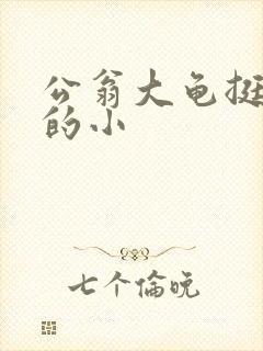 公翁大龟挺进我的小