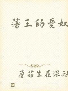 藩王的爱奴