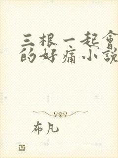 三根一起会坏掉的好痛小说