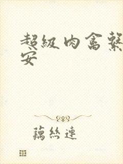 超级肉禽系统保安封面