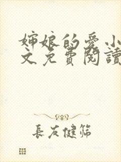 婶娘的爱小说全文免费阅读