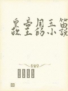 皇帝用玉笛整摄政王的小说封面