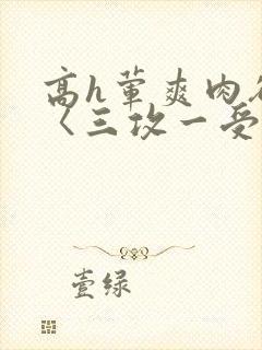 高h荤爽肉欲文〈三攻一受〉视频
