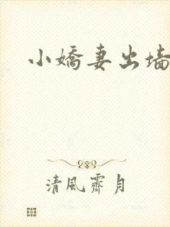 小娇妻出墙记