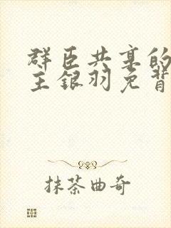 群臣共享的小公主银羽免背刺