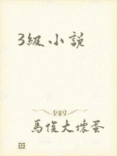 3级小说封面