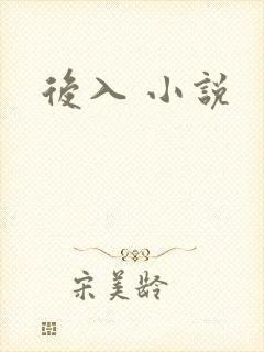 后入 小说