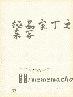 极品家丁之远方来客