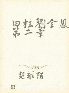 田柱刘金凤小说第二章封面