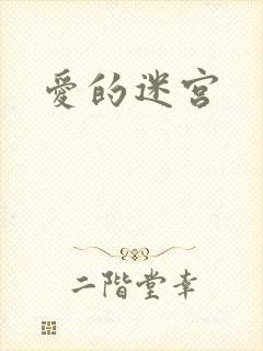 爱的迷宫