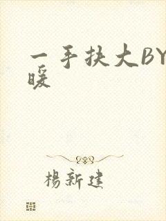 一手扶大BY泱暖封面