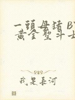 一头母猪 BY 黄金圣斗士