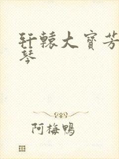 轩辕大宝芳菲雅琴