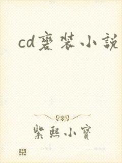 cd变装小说封面
