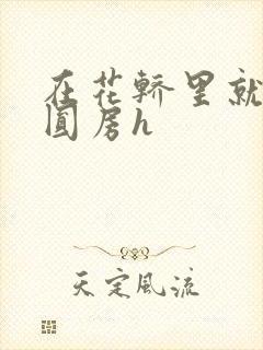 在花轿里就开始圆房h