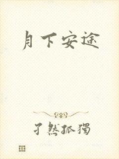 月下安途