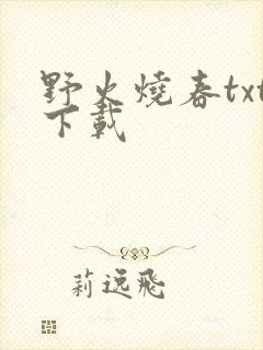 野火烧春txt下载封面