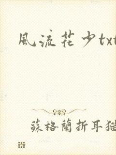 风流花少txt