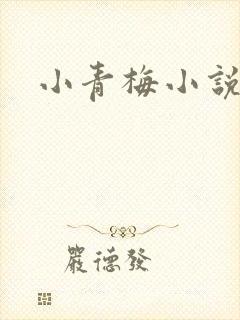 小青梅小说