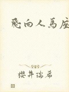 飞向人马座封面