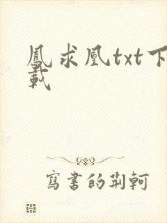 凤求凰txt下载