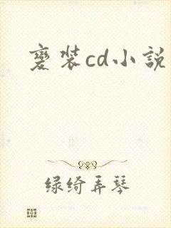 变装cd小说