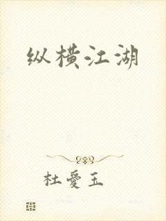 纵横江湖封面
