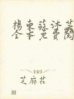 杨东苏沐芸小说全本免费阅读下载