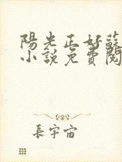 阳光正好苏玥玥小说免费阅读无弹窗封面