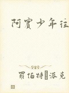 阿宾少年往事封面