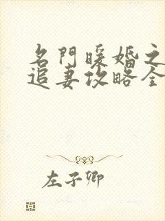 名门暖婚之权爷追妻攻略全文免费阅读封面