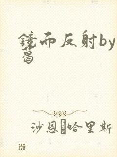 镜面反射by九葛