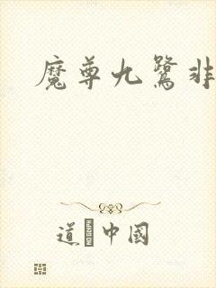 魔尊九鹭非香