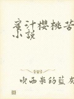 蜜汁樱桃苦咖啡小说