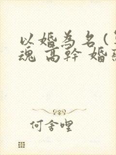 以婚为名 (军魂 高干 婚恋)