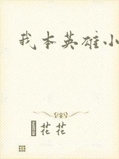 我本英雄小说