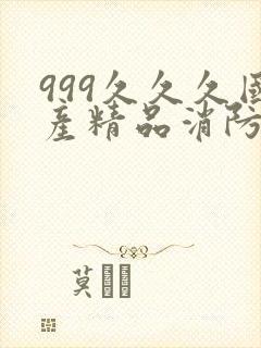 999久久久国产精品消防器材