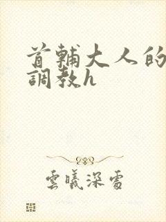 首辅大人的花式调教h