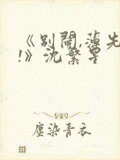 《别闹,薄先生!》沈繁星